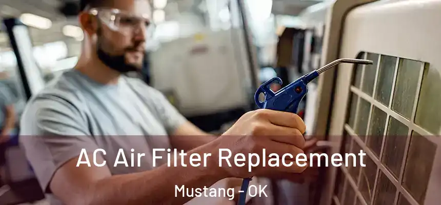  AC Air Filter Replacement Mustang - OK
