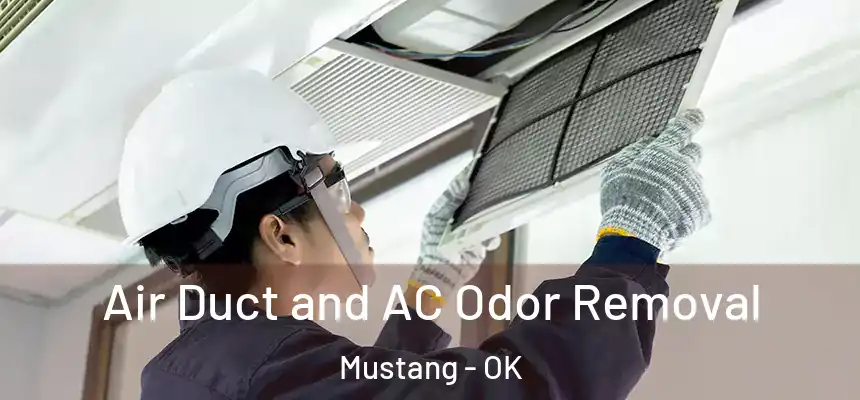  Air Duct and AC Odor Removal Mustang - OK