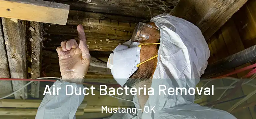  Air Duct Bacteria Removal Mustang - OK
