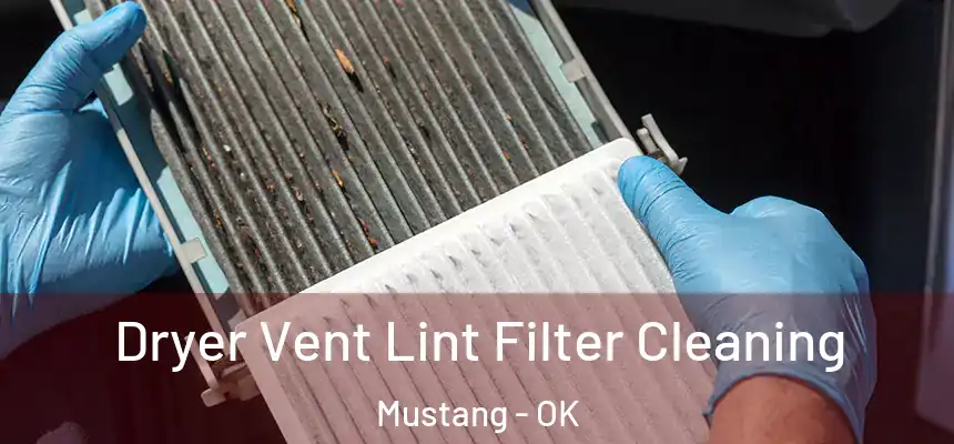 Dryer Vent Lint Filter Cleaning Mustang - OK