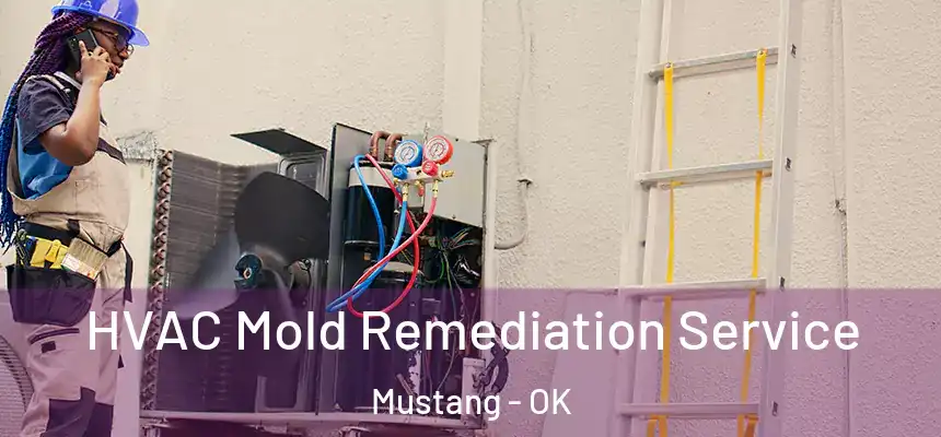  HVAC Mold Remediation Service Mustang - OK