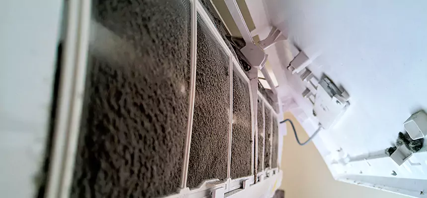 Preventive Air Duct Bacteria Removal in Mustang