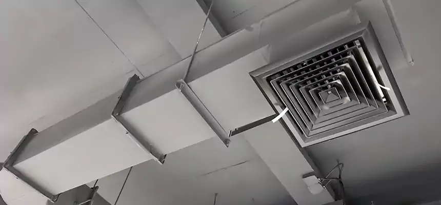 Our Pest Removal From Ducts Services in Mustang, OK