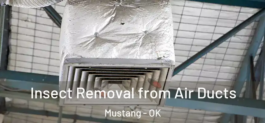 Insect Removal from Air Ducts Mustang - OK