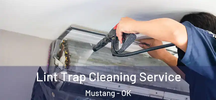  Lint Trap Cleaning Service Mustang - OK