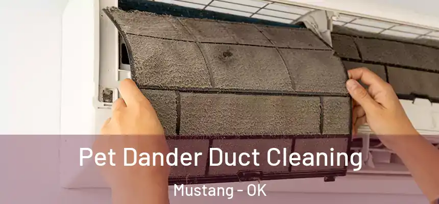  Pet Dander Duct Cleaning Mustang - OK