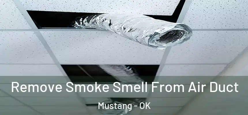  Remove Smoke Smell From Air Duct Mustang - OK