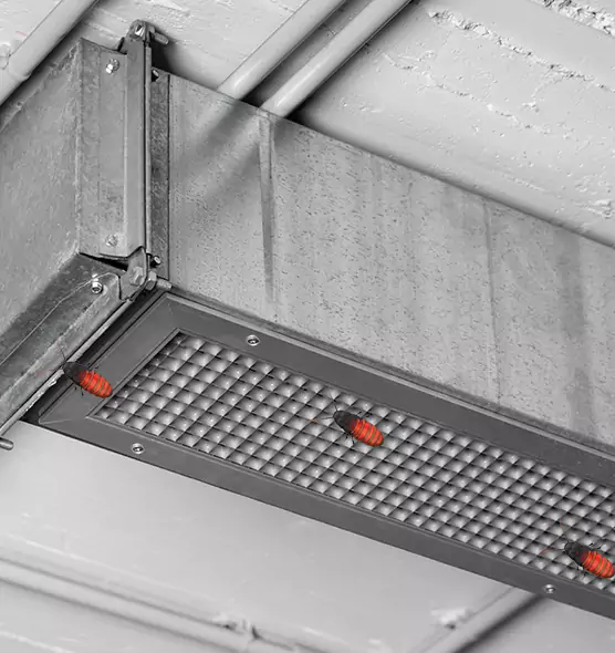 About Air Duct Cockroach Removal in Mustang, OK