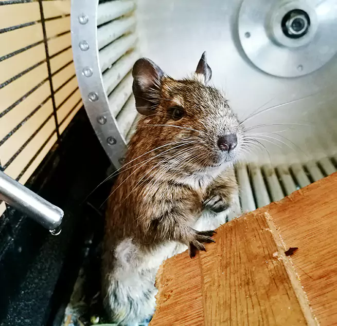 Why Homeowners & Businesses Trust Us Mustang, OK?