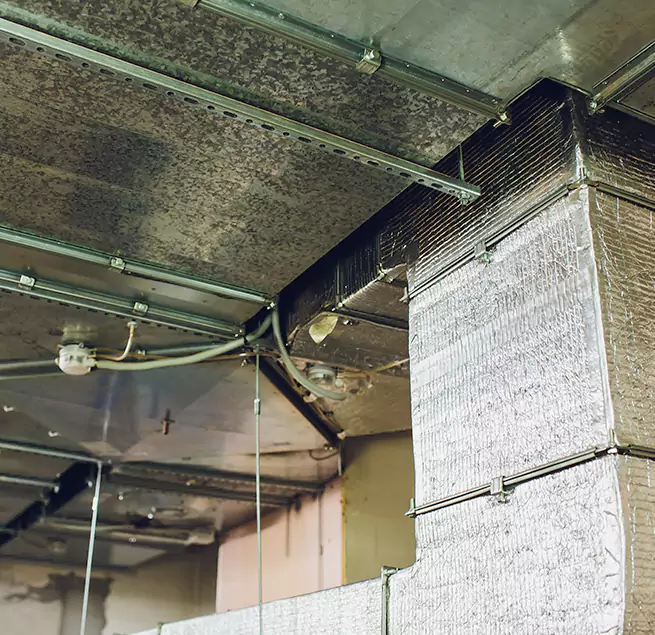 Why Homeowners & Businesses Trust Us in Mustang, OK?