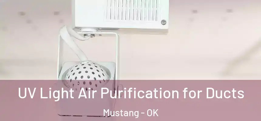  UV Light Air Purification for Ducts Mustang - OK