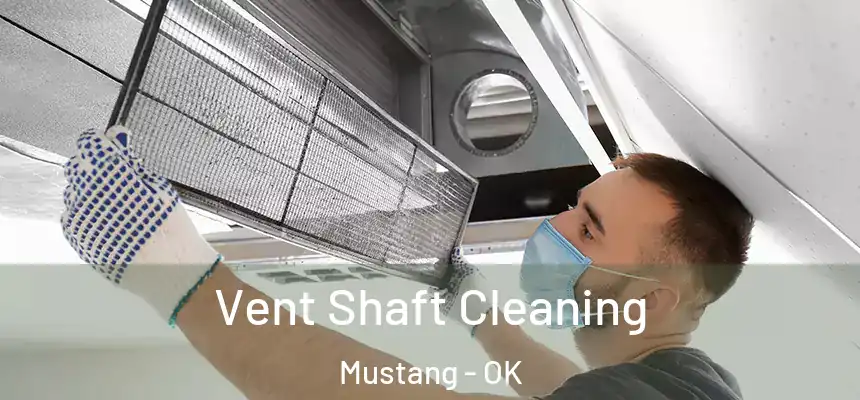 Vent Shaft Cleaning Mustang - OK